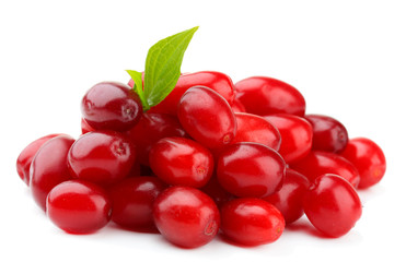 Fresh cornel berries isolated on white