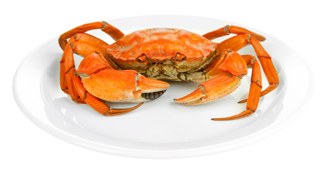 Boiled crab on white plate, isolated on white