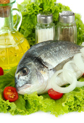 Dorado fish close-up