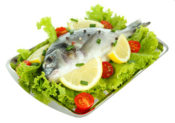 Dorado fish isolated on white
