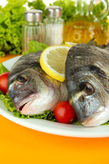 Dorado fish on table close-up