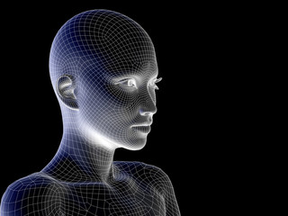 Conceptual wireframe mesh woman face - obrazy, fototapety, plakaty