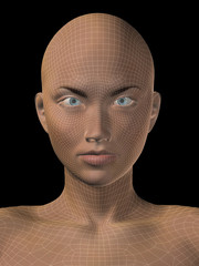Conceptual wireframe mesh woman face