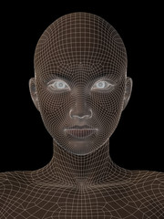 Conceptual wireframe mesh woman face