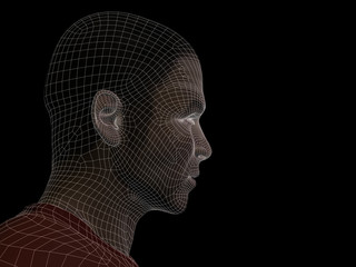 Obraz premium Conceptual wireframe mesh man face