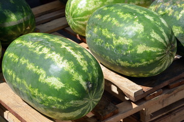 Wassermelonen