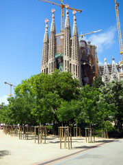 Fototapeta premium Sagrada Familia