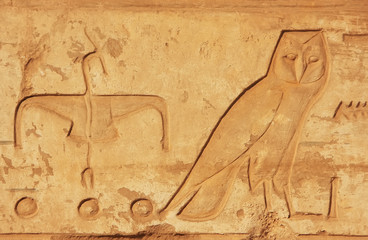 Ancient hieroglyphics on the walls of Karnak temple complex, Lux