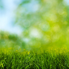 Green grass on the meadow, environmental backgrounds