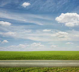road in the green field