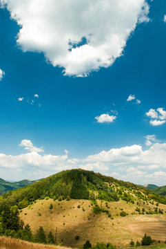 hill during the sunny day