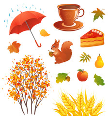 Autumn objects