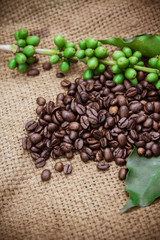 Fresh coffee beans on canvas texture background