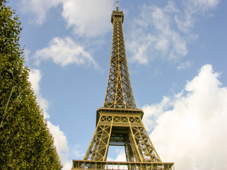 Fototapeta na wymiar Paris, La Tour Eiffel. Beautiful view of famous tower from Champ
