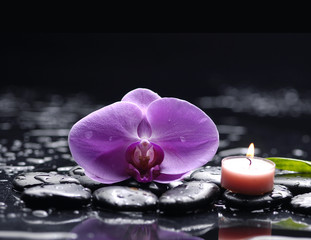still life with macro of orchid and candle on pebble