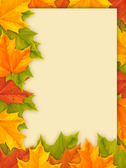 Autumn background