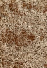 Leather texture