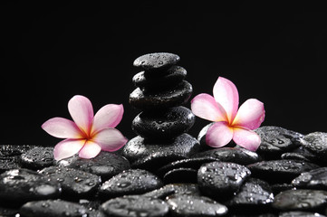 Fototapeta na wymiar Spa Concept-set of three frangipani with stacked stones