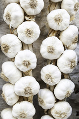 Fresh Garlic Spanish