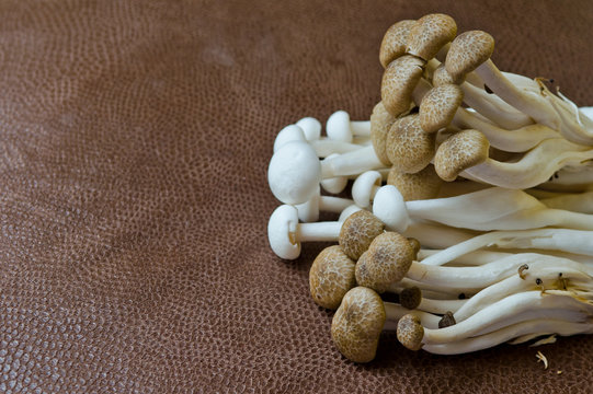 Group of Brown Beech mushroom and  White Crab mushroom on brown