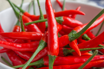 Red pepper isolated