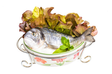Fresh raw dorada