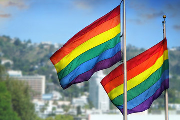 Rainbow flags
