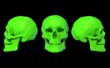 Schädel 3D neon grün