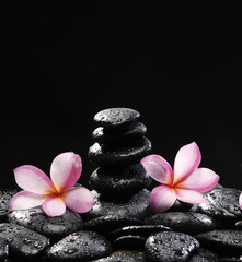 Fototapeta na wymiar frangipani and stacked black pebbles