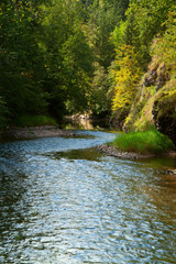 Naklejka premium mountain stream