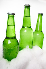 beer bottles in snow