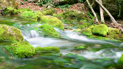 River deep in mountain forest.