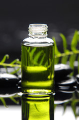 Green spa background