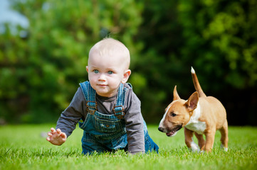 little boy and a puppy © otsphoto