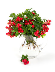 cowberries in a glass pitcher