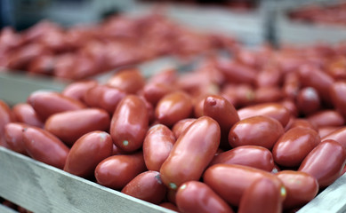 Pomodori al mercato