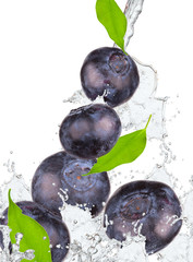 Blueberries and leaf with splash isolated on white
