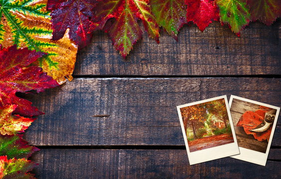 Colorful wet autumn leaves arranged on old wooden table
