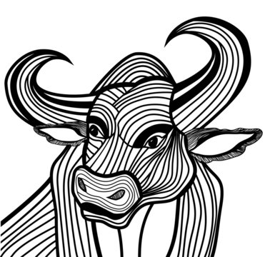 Bull head vector animal illustration for t-shirt.