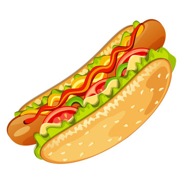 Hot dog  with mustard and ketchup