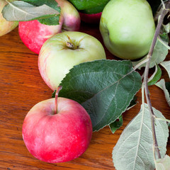 fresh summer apples on wooden table