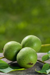 Walnüsse