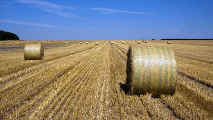 Straw bales