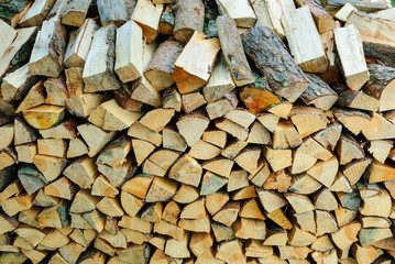 Zum Trocknen aufgeschichtete Brennholzscheite in einer Holzmiete