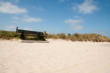 A bench in the dunes