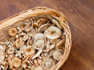 basket with mushrooms