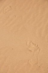 Fototapeta na wymiar Two footrpints in the sand