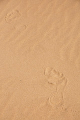Two footrpints in the sand
