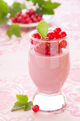Panna cotta dessert with red currants, selective focus.