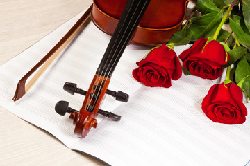 Fototapeta premium Red roses and a violin